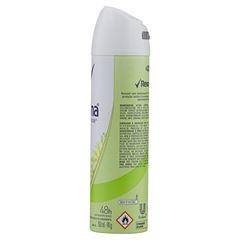 DESODORANTE AEROSOL REXONA FEMININO ERVA DOCE