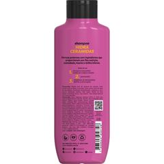 KIT SHAMPOO E CONDICIONADOR HIDRA CERAMIDA SALON LINE 300ML