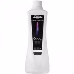 REVELADOR DIA RICHESSE 6V 950ML