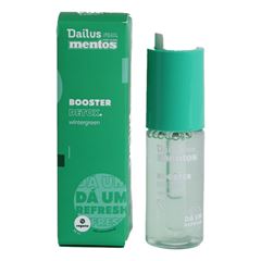 Booster Mentos Pure Fresh Wintergreen
