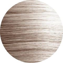 Tintura Amend Color Intensy 10.1 Louro Acizentado