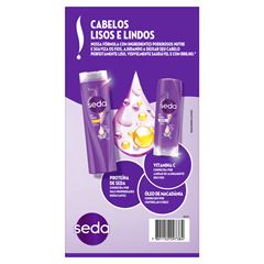 Kit Shampoo + Condicionador Seda Liso Perfeito Shampoo 300ml + Condicionador 190ml